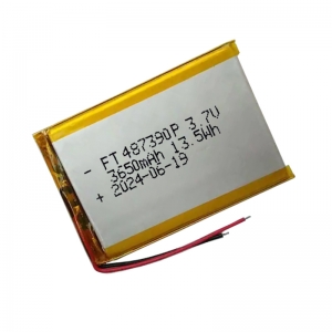 3,7 V 3650 mAh Li-Polymer-Batterien ft487390p