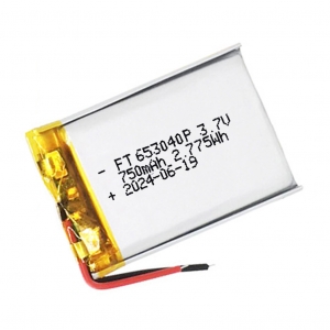 3,7 V 750 mAh Li-Polymer-Batterien ft653040ph
